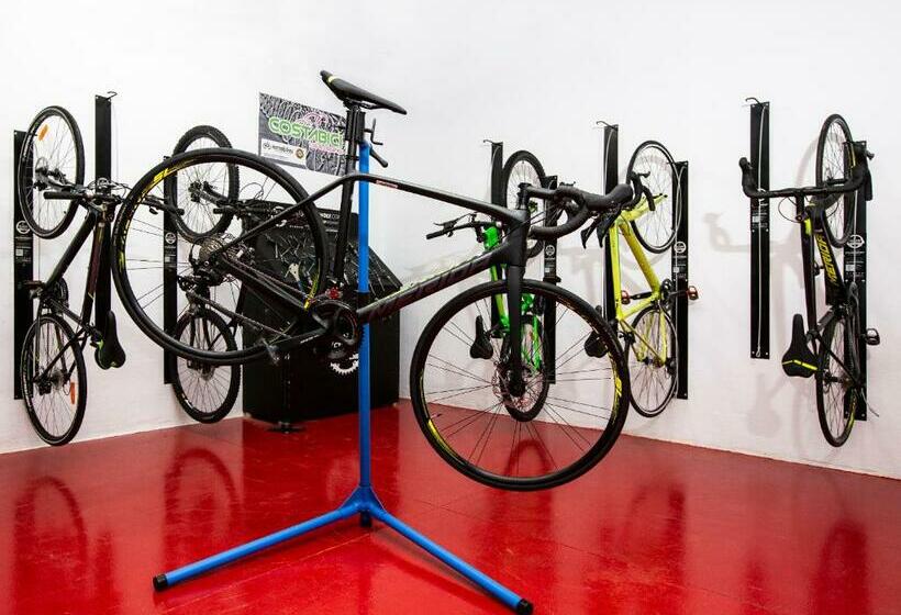 Номер Стандарт, 525