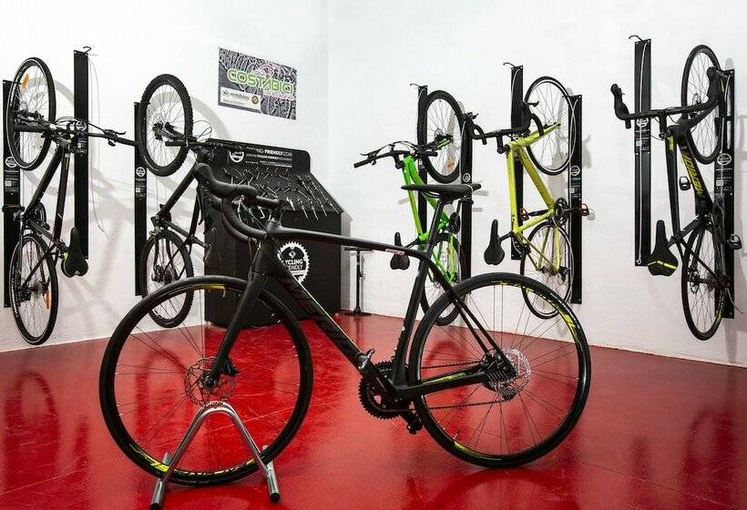 Номер Стандарт, 525