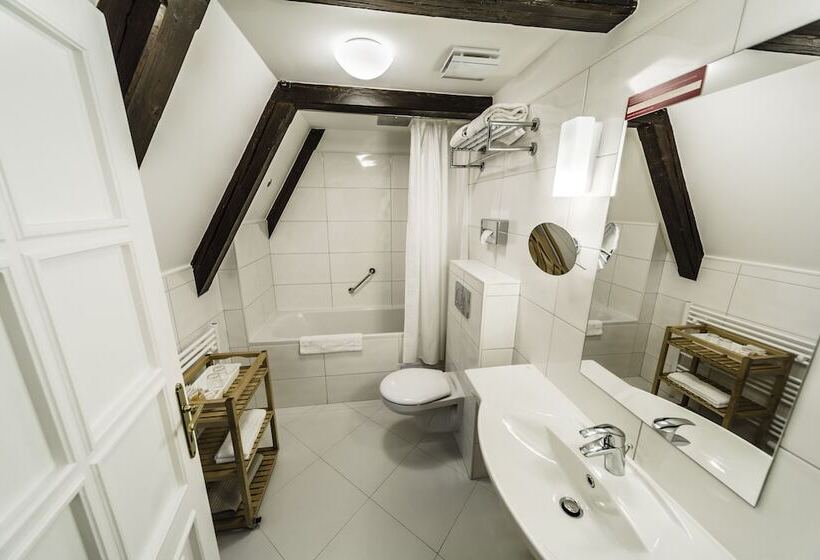 اتاق استاندارد با چشم‌انداز رودخانه, Archibald At The Charles Bridge