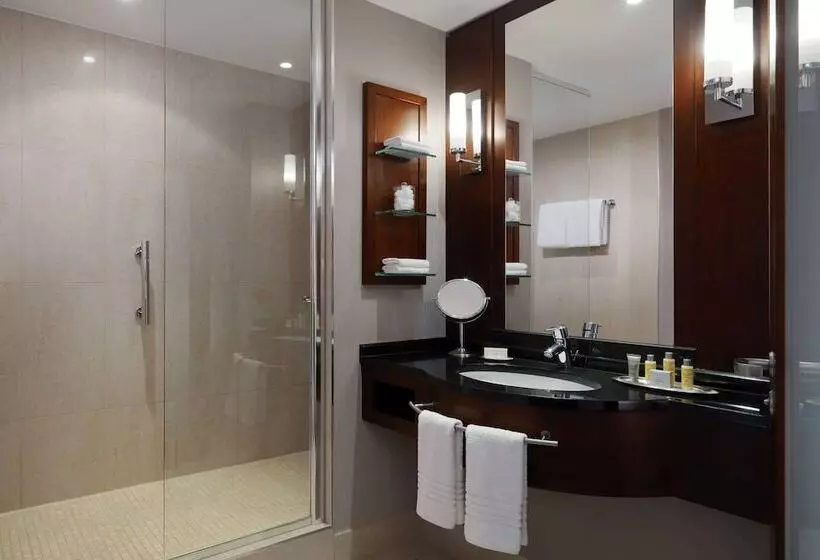 デラックスルーム, Cologne Marriott