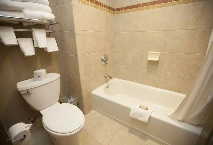 سوییت, Great Wolf Lodge Niagara Falls