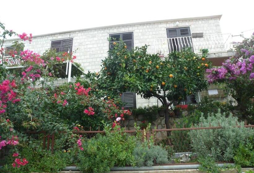 스탠다드 룸 공동 욕실, Guesthouse Ivona