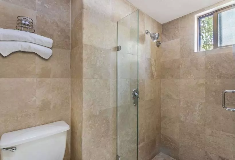 اتاق اجرایی, Wyndham Garden Obregon
