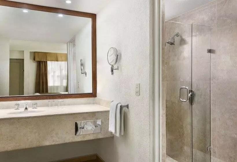 اتاق اجرایی, Wyndham Garden Obregon
