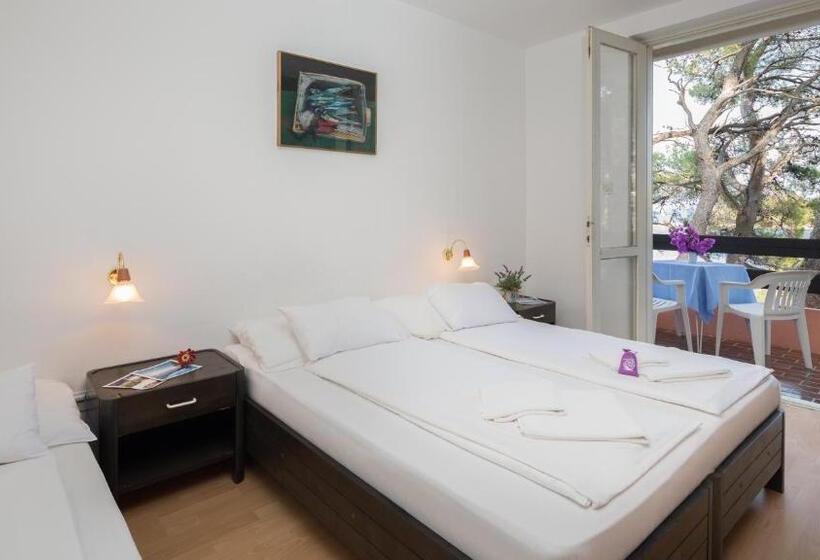 סטודיו נוח, Fontana Resort