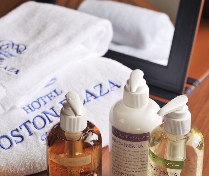 Номер Economy, Boston Plaza Kusatsu