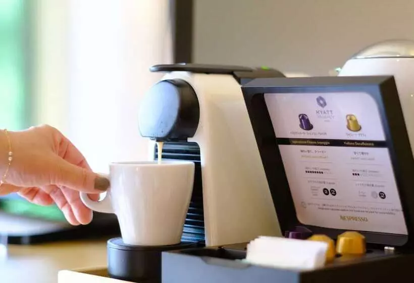 スタンダードルーム, Hyatt Regency Kyoto