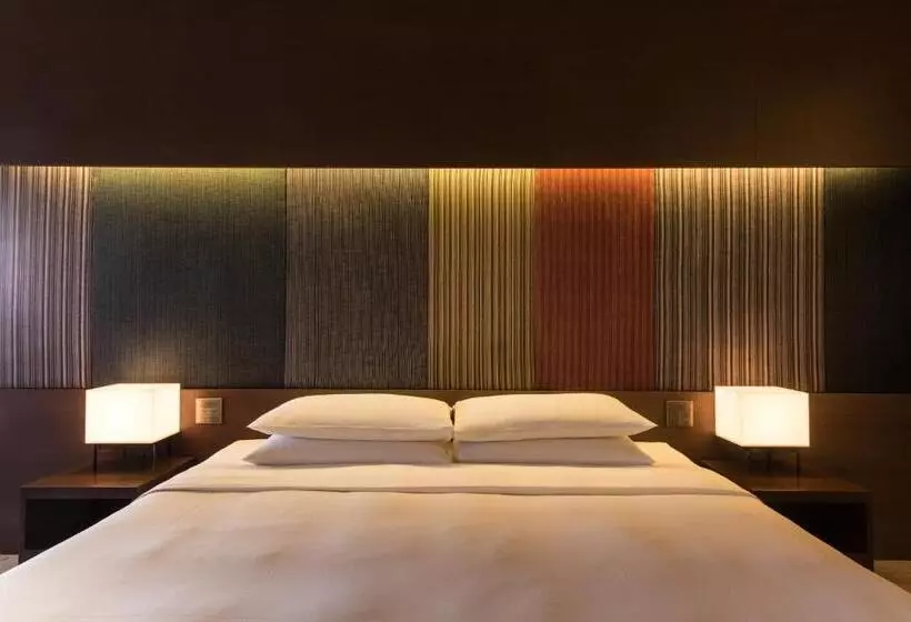 キングサイズベッドのスタンダードルーム, Hyatt Regency Kyoto