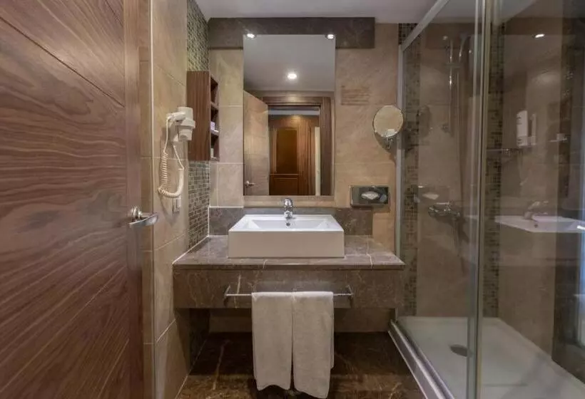 اتاق استاندارد, Kolin Hotel Spa & Convention Center