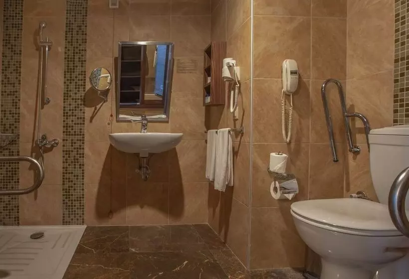 اتاق استاندارد برای معلولان, Kolin Hotel Spa & Convention Center
