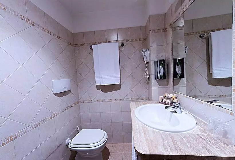 اتاق استاندارد, Roma Domus
