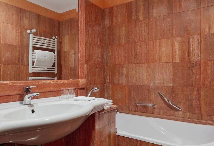 이그제큐티브 룸, Rome Marriott Park