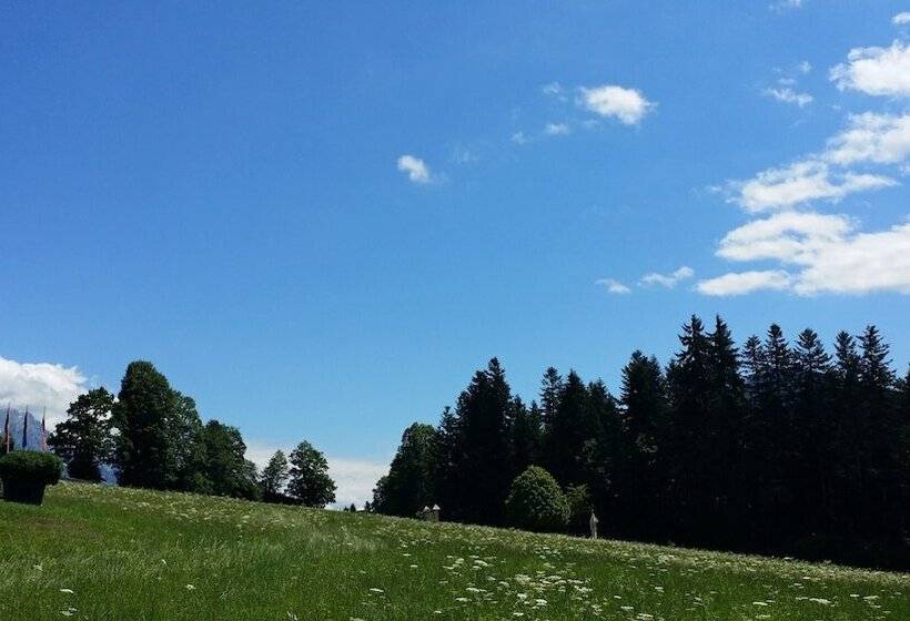 اتاق استاندارد یک نفره, Alpenschlossl