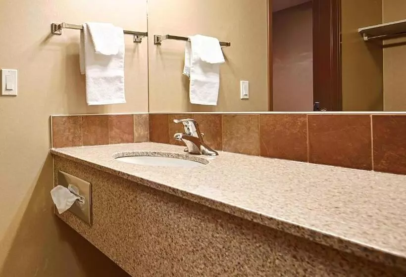スタンダードルーム, Best Western Diamond Inn