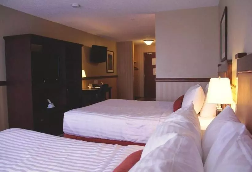 スタンダードルーム, Best Western Diamond Inn