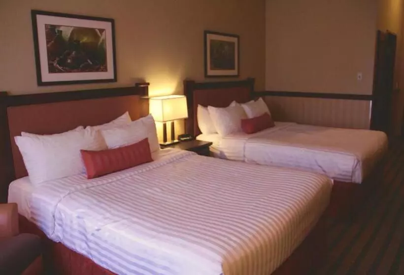 スタンダードルーム, Best Western Diamond Inn