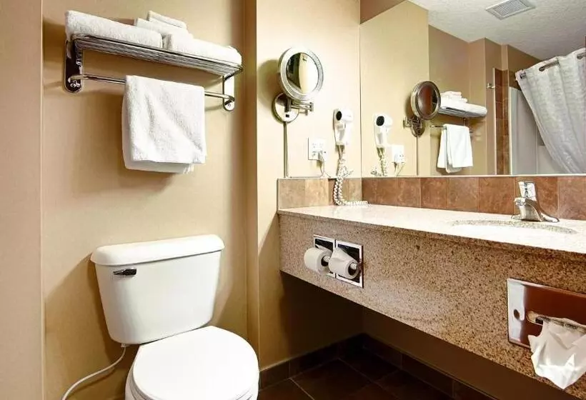 キングサイズベッドのスタンダードルーム, Best Western Diamond Inn