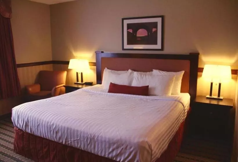 身障者適用キングサイズベッドルーム, Best Western Diamond Inn