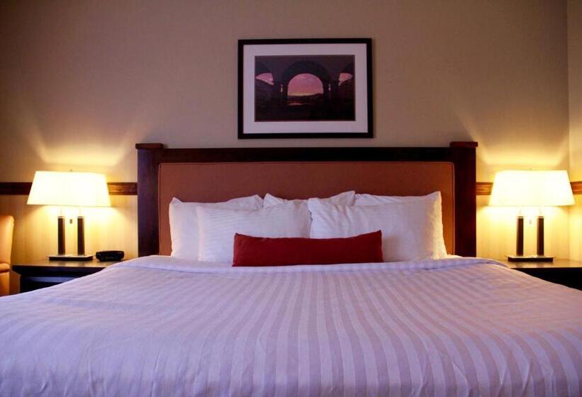 غرفة قياسية سرير كينج لذوى الإحتياجات الخاصة, Best Western Diamond Inn