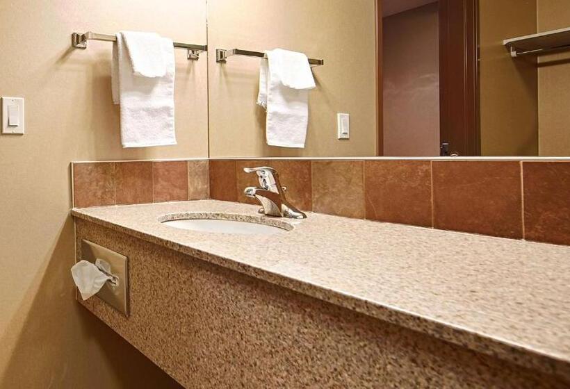 غرفة قياسية سرير كينج لذوى الإحتياجات الخاصة, Best Western Diamond Inn