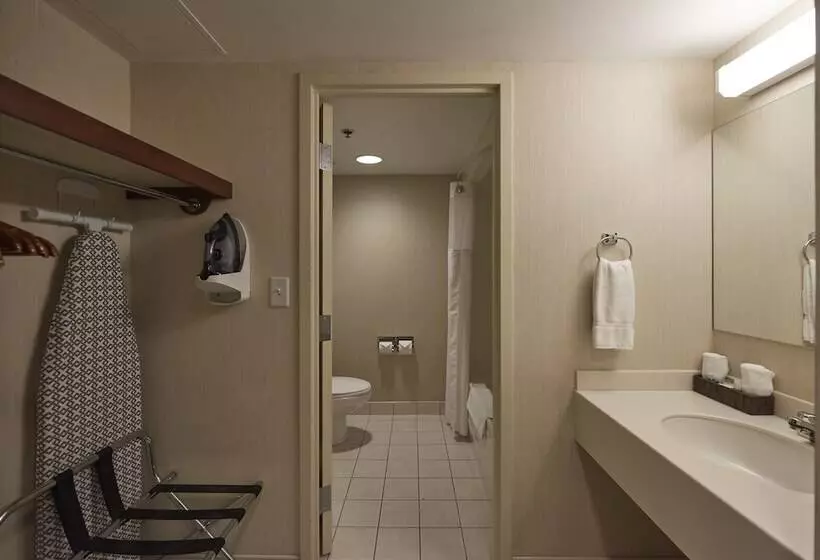 Suite, Capital