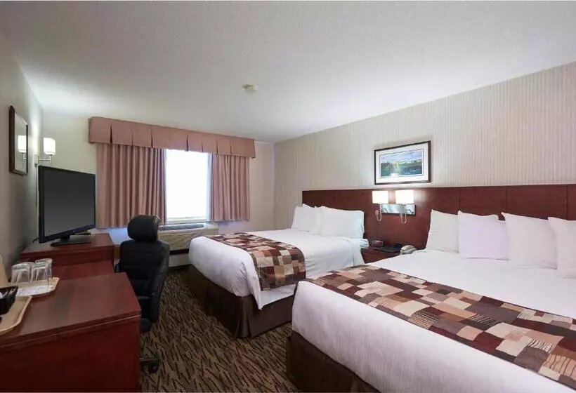 Quarto standard, Capital