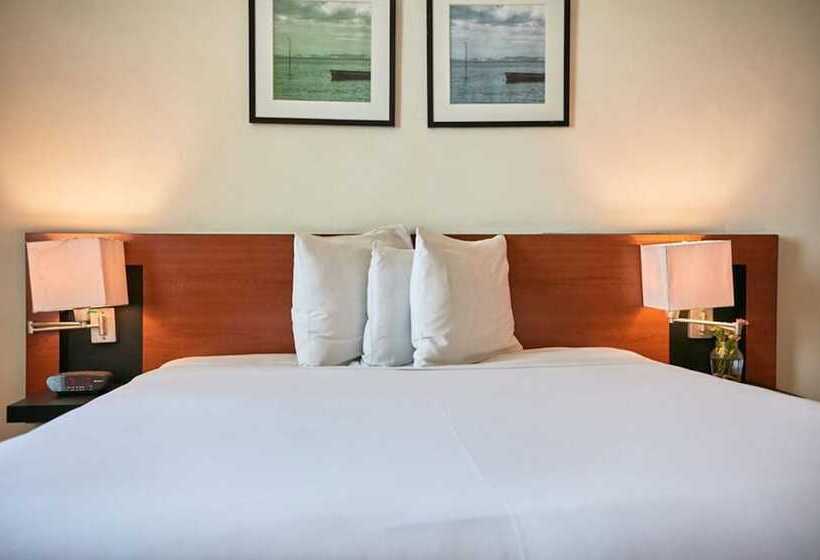 سوییت, Comfort Inn Real La Union