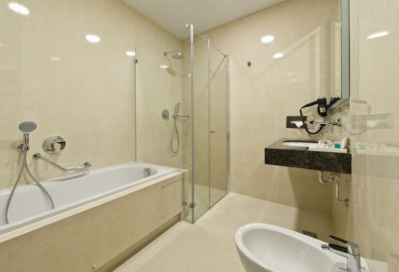 اتاق سوپریور با بالکن, Congress Avenue Hotel