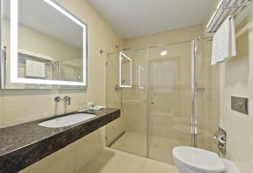 اتاق سوپریور با بالکن, Congress Avenue Hotel