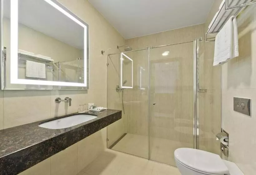 اتاق استاندارد, Congress Avenue Hotel