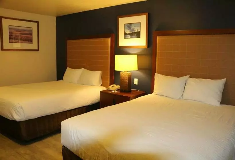اتاق استاندارد, Empire Inn & Suites