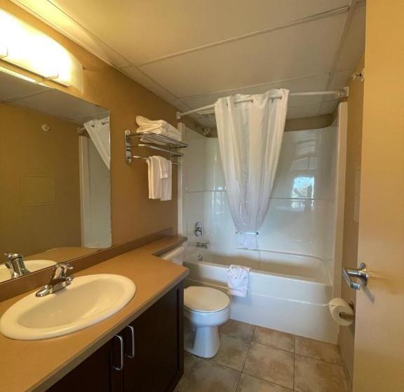 Standard Stúdió Szoba Franciaággyal, Franklin Suite