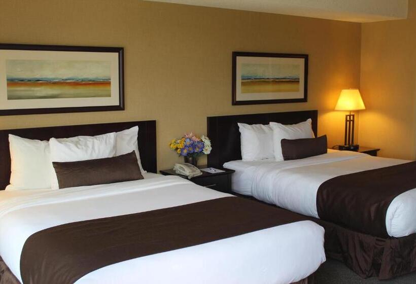 Standard Stúdió Szoba, Franklin Suite