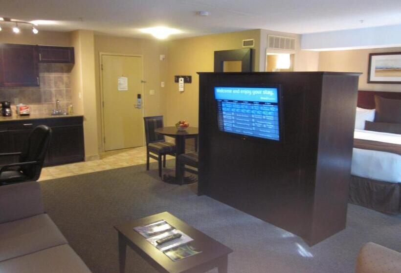 Standard Stúdió Szoba, Franklin Suite