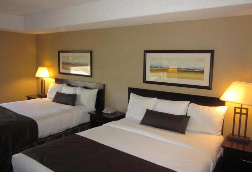 Standard Stúdió Szoba, Franklin Suite