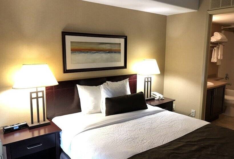 Standard Stúdió Szoba Franciaággyal, Franklin Suite