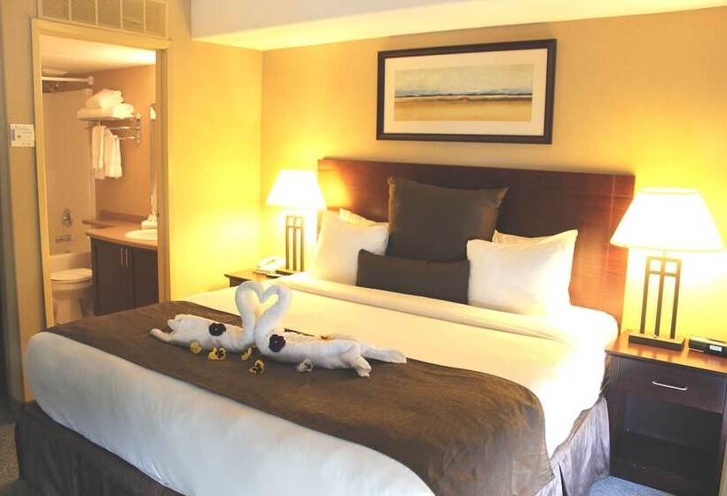 Standard Stúdió Szoba Franciaággyal, Franklin Suite