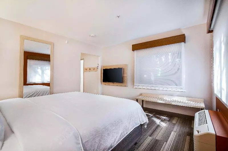 Sviitti King-vuode, Holiday Inn Express & Suites Langley, An Ihg