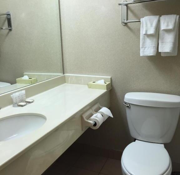 اتاق استاندارد با تخت بزرگ, Howard Johnson By Wyndham Toronto Downtown West