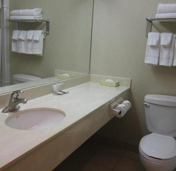 اتاق استاندارد با تخت بزرگ, Howard Johnson By Wyndham Toronto Downtown West