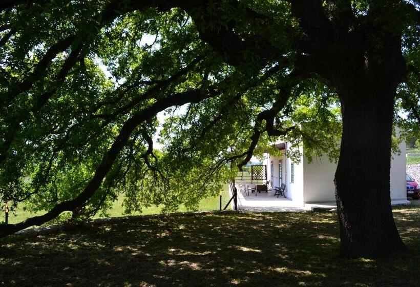 Номер Стандарт Внутренний, Masseria Torricella