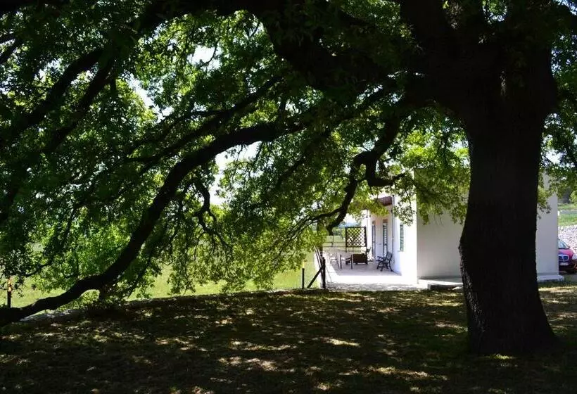 اتاق استاندارد اینتریور, Masseria Torricella