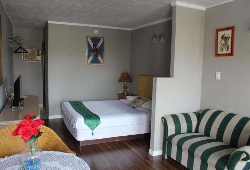 标准间, Ritz Inn Niagara