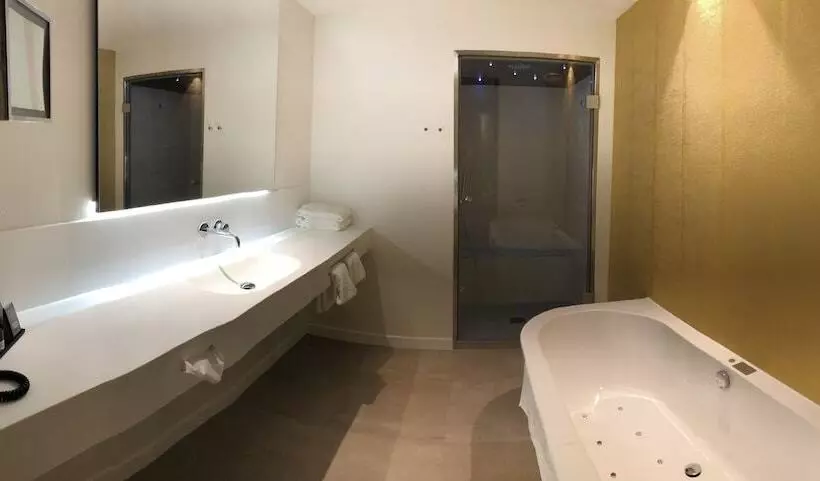 اتاق لوکس, Van Der Valk Maastricht