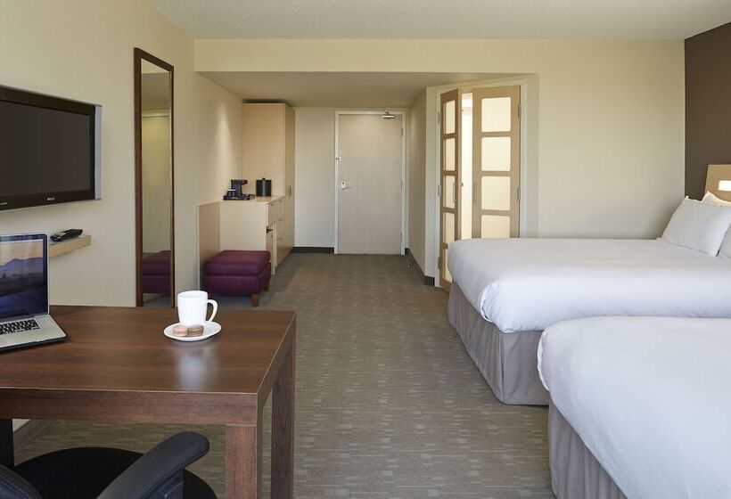 行政房间, Novotel Montreal Aeroport