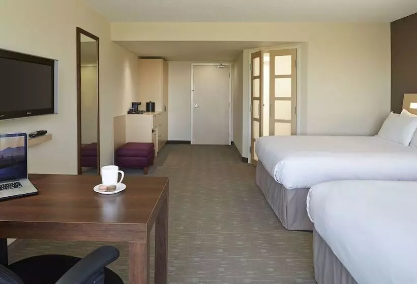 اتاق اجرایی, Novotel Montreal Aeroport
