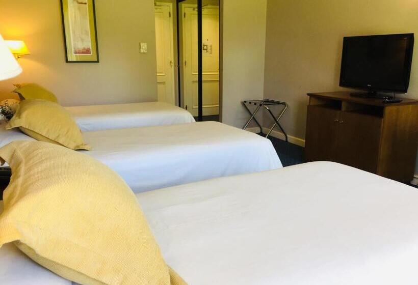 חדר סטנדרט לשלושה, San Miguel Plaza Hotel All Inclusive