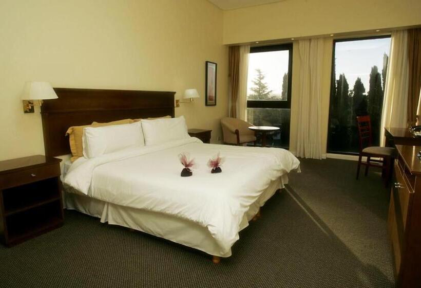 חדר סטנדרט יחיד, San Miguel Plaza Hotel All Inclusive