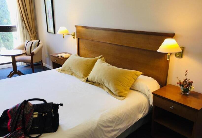 חדר סטנדרט יחיד, San Miguel Plaza Hotel All Inclusive