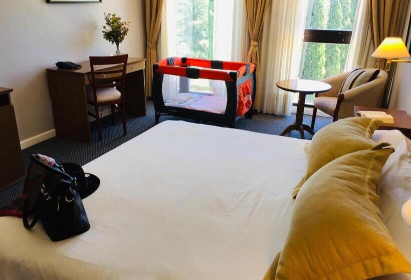 חדר סטנדרט יחיד, San Miguel Plaza Hotel All Inclusive